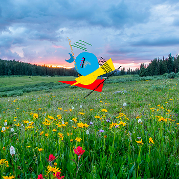I added a background image of a field. As this project is about data, I wanted to choose a place that represented me. I love being outside and I live in a small town surrounded by lots of green space and farmland. I felt like this was a perfect representation of that.